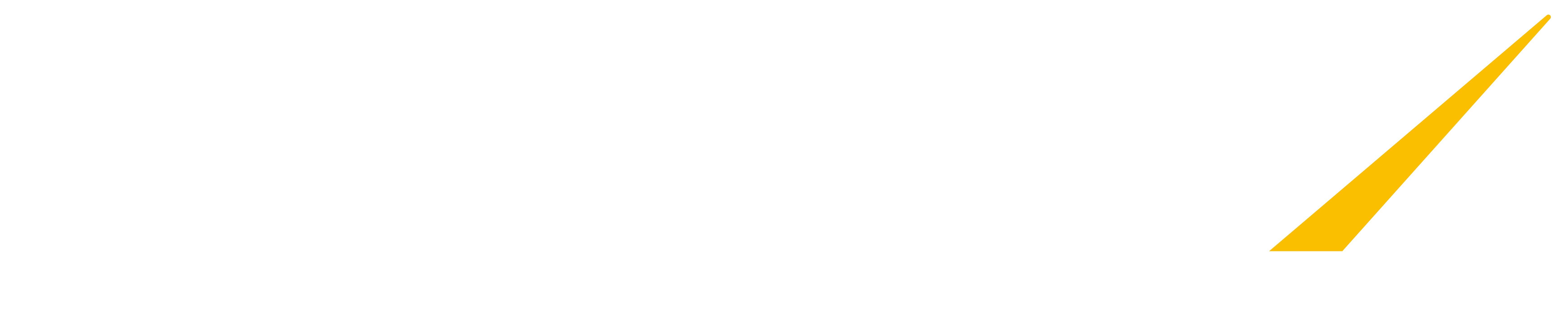 Dangura Digital Logo